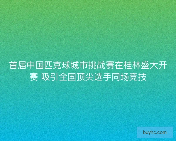 首届中国匹克球城市挑战赛在桂林盛大开赛 吸引全国顶尖选手同场竞技